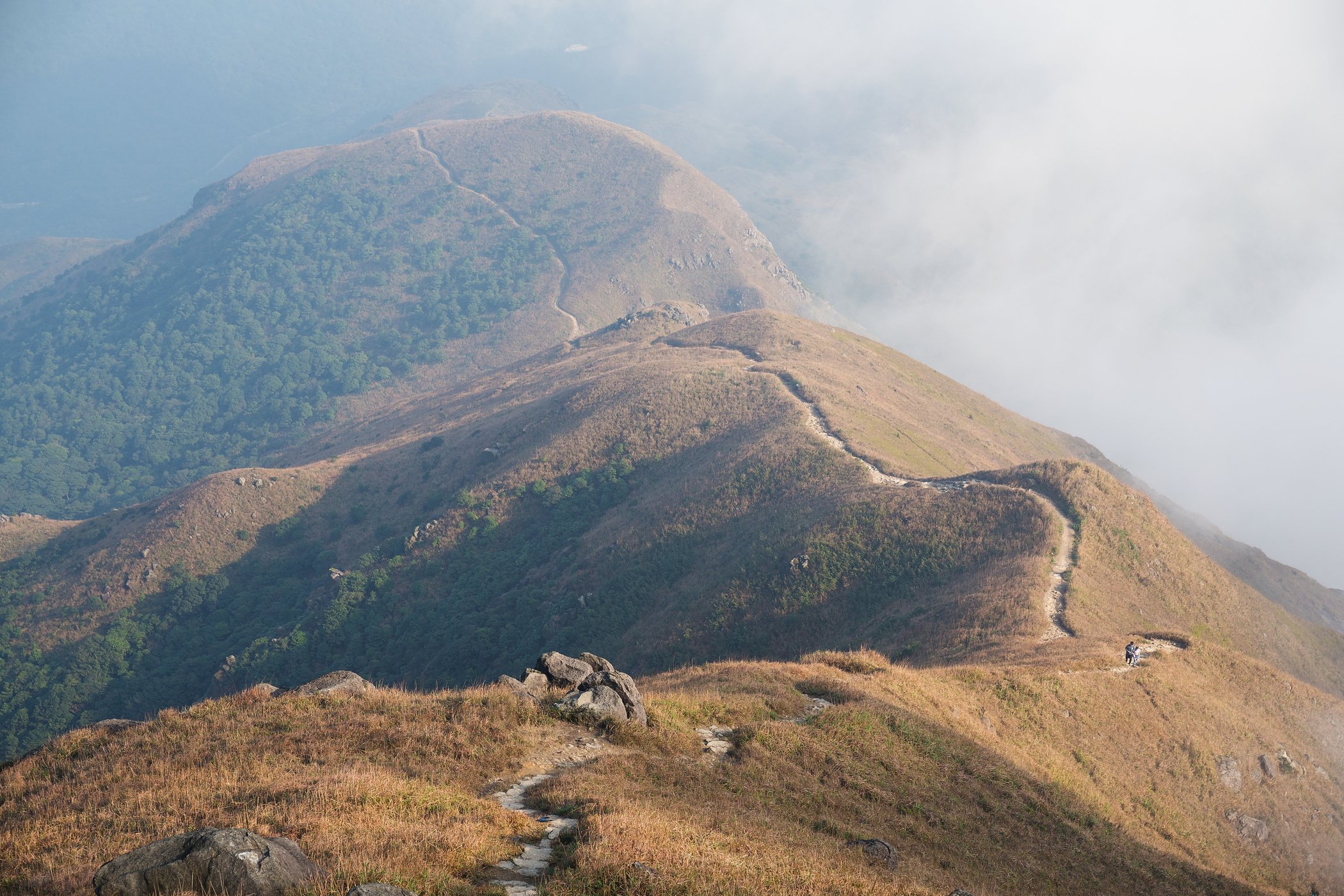 Hiking Path  