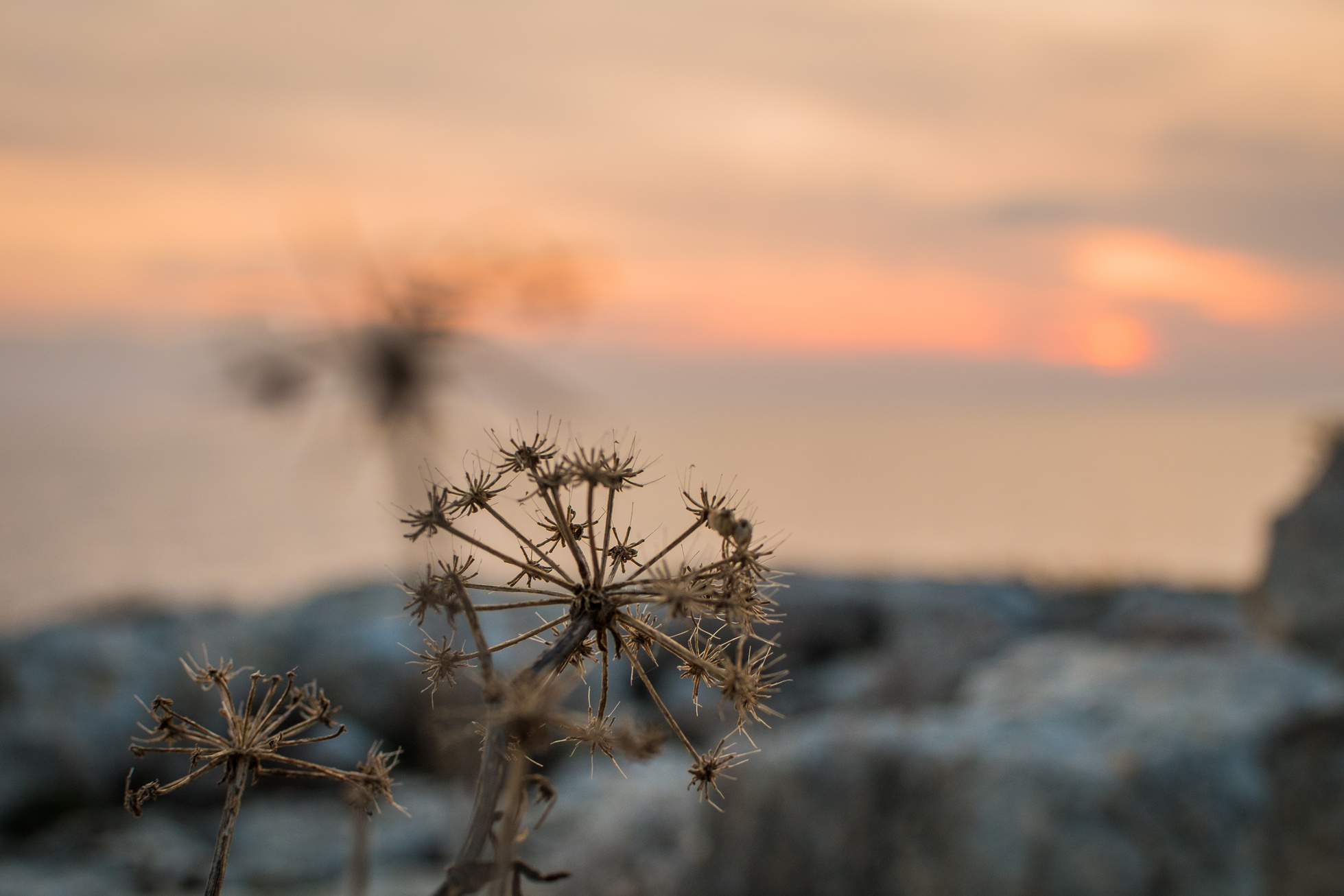 harmonious sunset